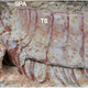 Illustration for article titled Ancient fossil reveals that Cthulhu really did live on Earth 500 million years ago
